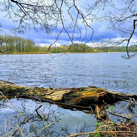 Zurawia Kraina 펜션 *