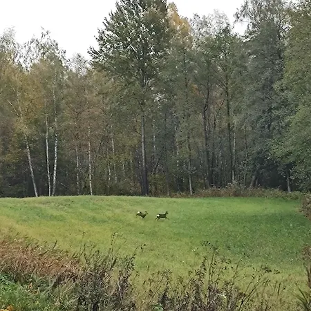 펜션 Zurawia Kraina *