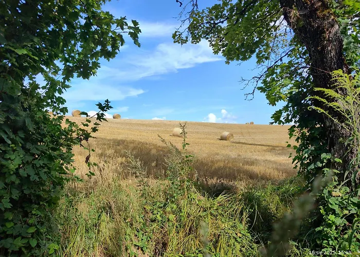 Zurawia Kraina בית נופש *