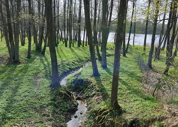 Zurawia Kraina Bitkowo (Goldap)