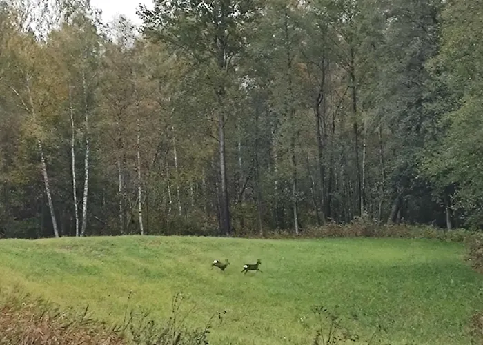 Prázdninový dům Zurawia Kraina *