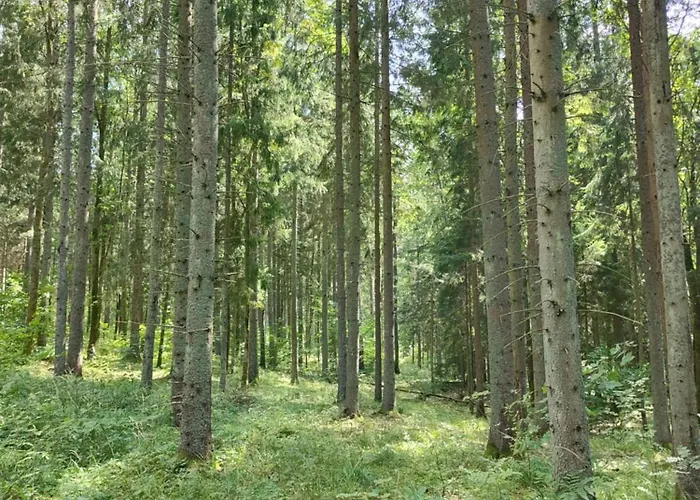 Prázdninový dům Zurawia Kraina *