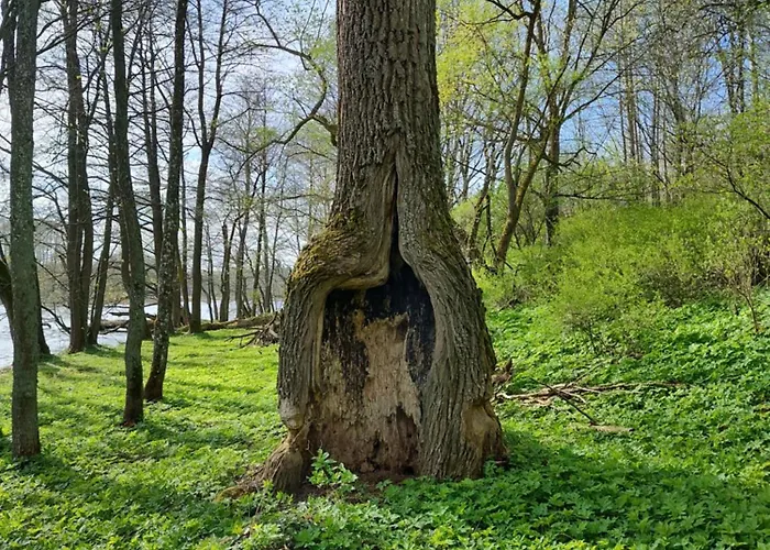 Prázdninový dům Zurawia Kraina *